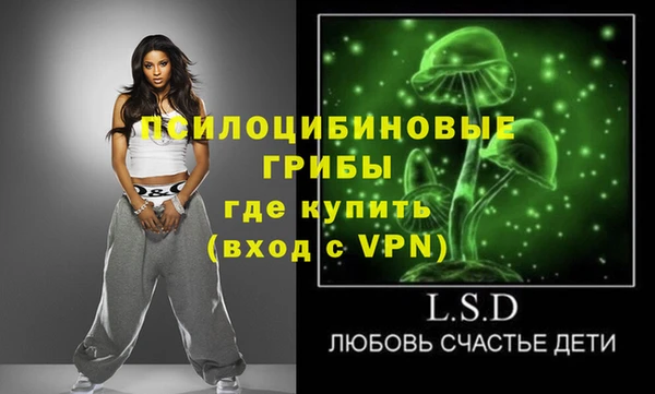 дмт Елабуга