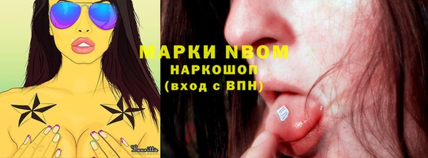 дмт Елабуга