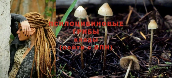 мескалин Елизово