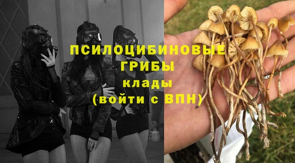 дмт Елабуга
