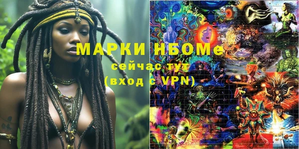 дмт Елабуга