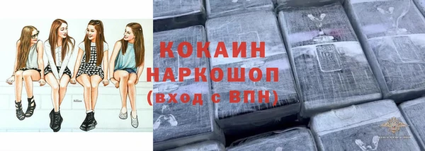 mdpv Ельня