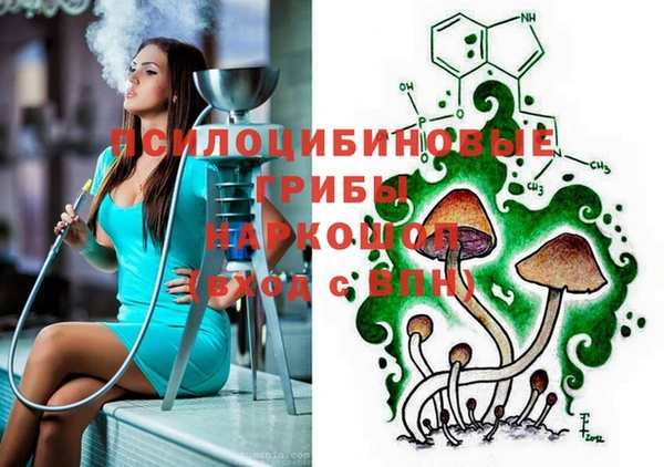 дмт Елабуга
