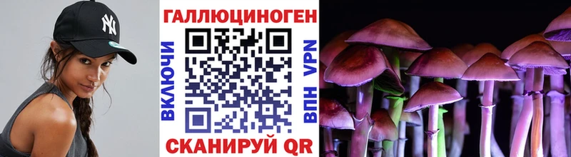 Купить закладки  Куса  Псилоцибиновые грибы мицелий 